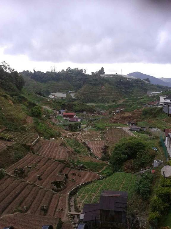 Rose Apartment Kea Farm Cameron Highlands Exterior foto