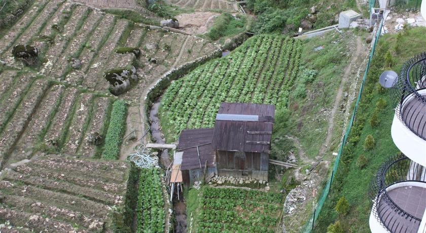 Rose Apartment Kea Farm Cameron Highlands Exterior foto